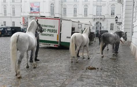 The Spanish Riding School, vienna, United States Of America - Top ...