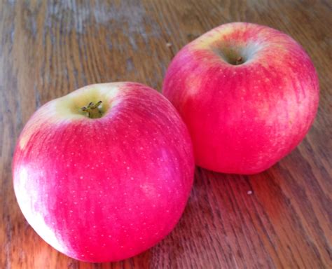 Lady Alice Apples - The Most Delicious Variety