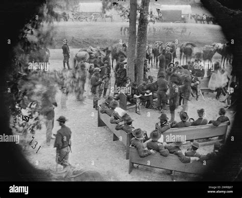 Bench nearest tree hi-res stock photography and images - Alamy