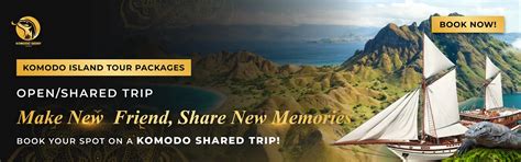 Are Komodo Dragons Related to Dinosaurs? Facts Explained - Komodo Luxury