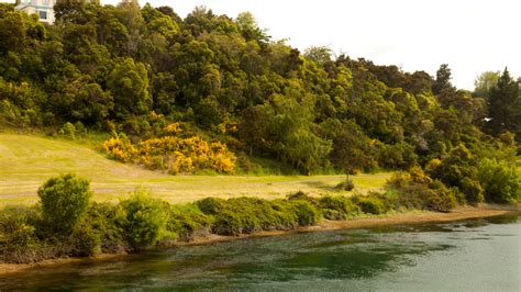 Download wallpaper road, river, shore, slope, New Zealand, Waikato ...