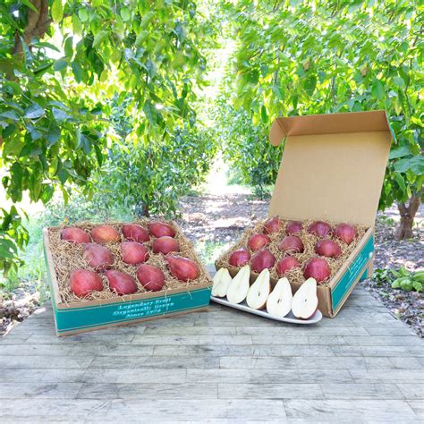 Organic Red D'Anjou Pears - Frog Hollow Farm
