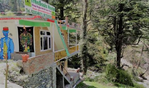 9 Best Stays In Jibhi, The Little Slice Of Heaven In Himachal Pradesh ...