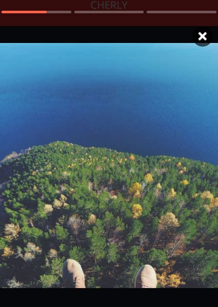 Image result for Story View HTML CSS JavaScript