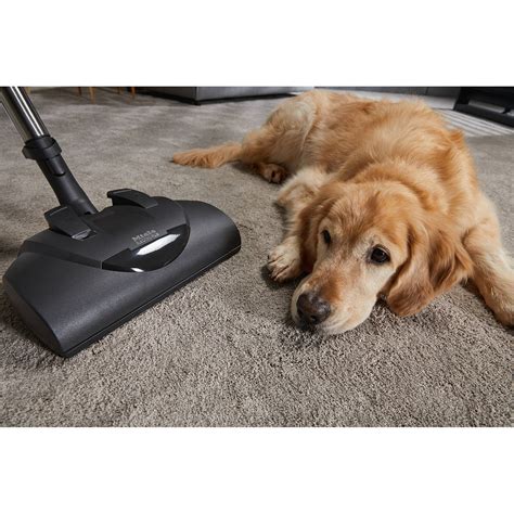 Miele Classic C1 Cat & Dog PowerLine Lotus White Vacuum | Abt