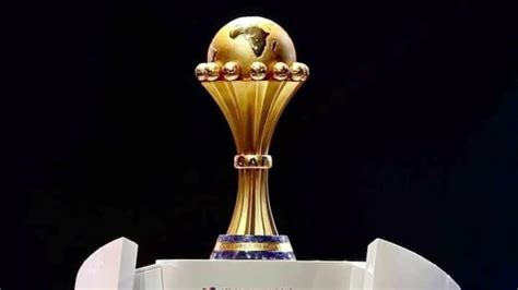 Image result for Can You Eat Python's