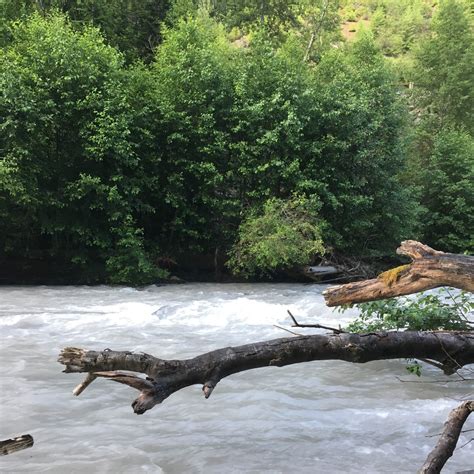 Ranger Creek Airstrip Dispersed Camping | The Dyrt