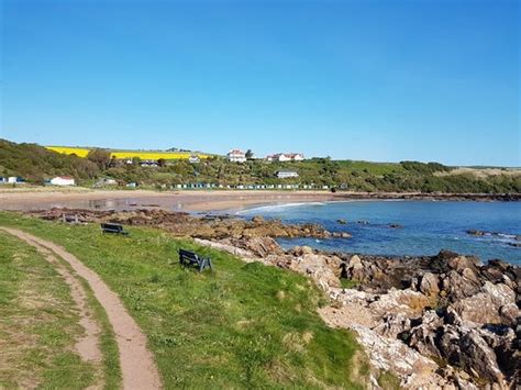 Coldingham Sands - 2020 What to Know Before You Go (with Photos ...