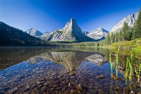 Best Campgrounds in Glacier National Park Montana