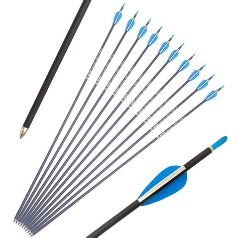 Buy AMEYXGS 31Inch Archery Carbon Arrow Hunting Arrows Spine 700 Target ...
