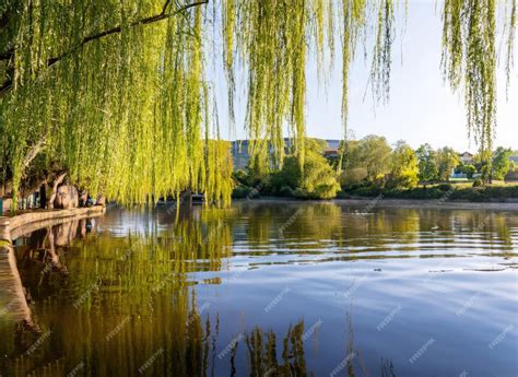 Lake 的图像结果