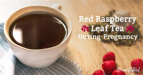 Raspberry Tea Benefits In Pregnancy at Laura Mullen blog