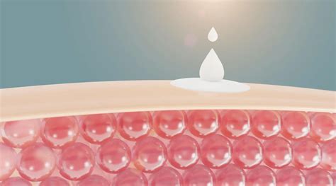 Skin Barrier Repair: Why It Should Be a Part of Your Skincare Routine ...