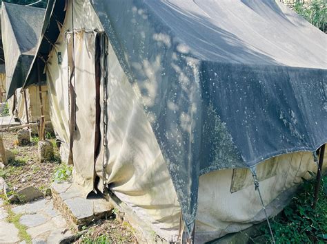 HAIL HIMALAYAS (Shoghi) - Specialty Resort Reviews, Photos, Rate ...