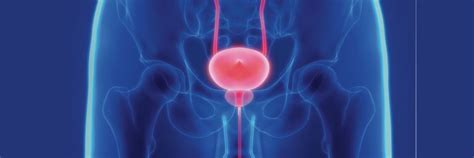 Expert Prostate Care in Jogeshwari, Andheri, Mumbai