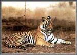 BIODIVERSITY HOTSPOTS OF KARNATAKA