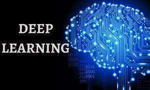 Deep Learning Training 的图像结果