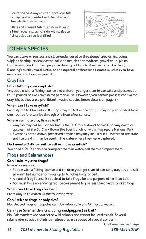 MN Fishing Regulations 2021 - Isaac Dixson - Page 34 | Flip PDF Online ...