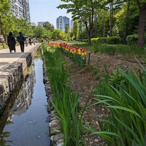 GYEONGUI LINE FOREST (2026) All You Need to Know BEFORE You Go (with ...