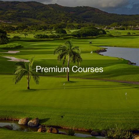 Microgravity Golf Simulator | Virtual Golf | Indoor Golf Simulator