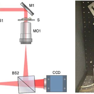 Image result for CIS Scanner Tool