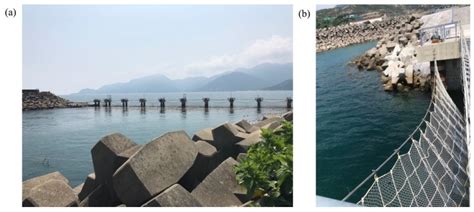 Numerical Investigation of the Hydrodynamic Behavior of Trash-Blocking ...