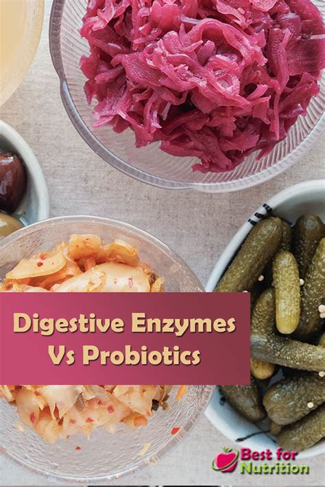 Digestive Enzymes Vs Probiotics: Which is Right for You?