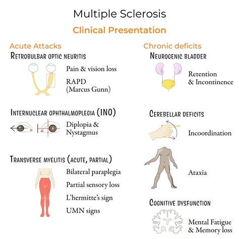 Multiple Sclerosis Overview Signs Symptoms Types Multiple Sclerosis.