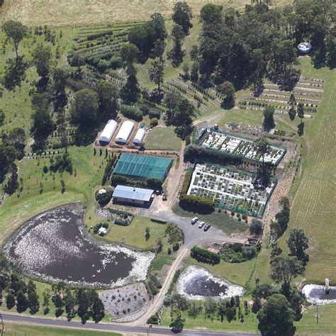 NATIVES 'R' US NURSERY (2025) All You Need to Know BEFORE You Go (with ...