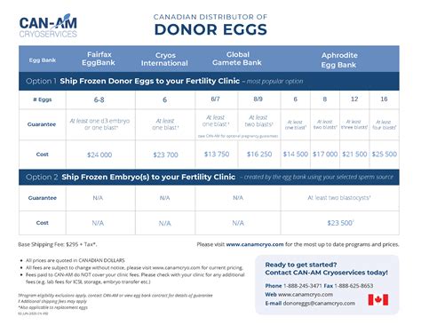 Compare Your Options - Donor Eggs