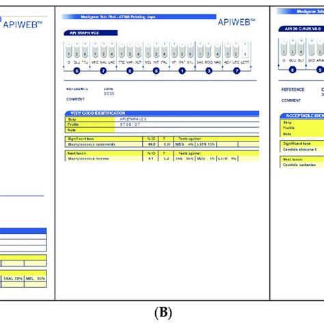 Image result for API Identification