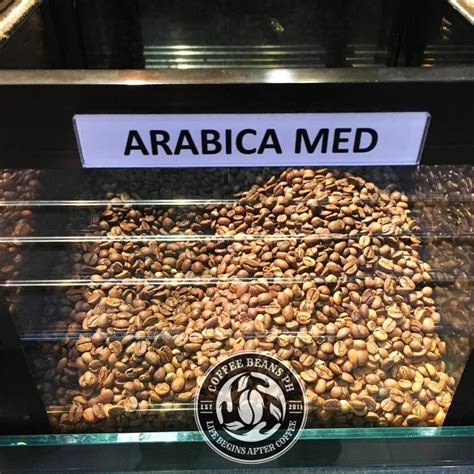 The Difference Between Arabica And Robusta Bean Ground What To Look