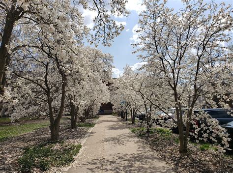 FYR Campus Visit Portal