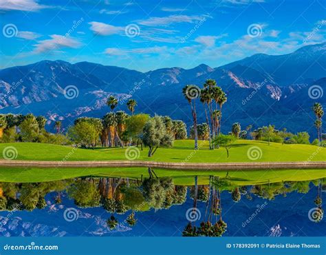 Palm Springs Palms and Mountains Reflect in Lake. Stock Image - Image ...