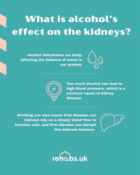 The Harmful Effects of Alcohol on the Kidneys