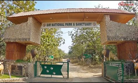 Top 15 National Parks And Wildlife Sanctuaries In India