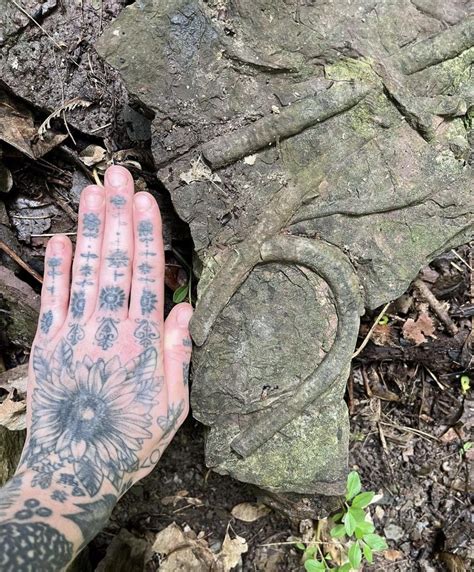 Worm trace fossils : r/fossilid