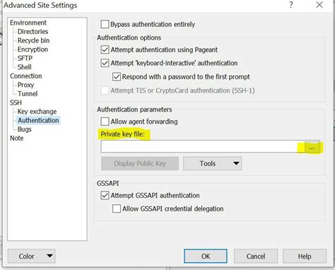 Transfer File Using SCP to Host 的图像结果