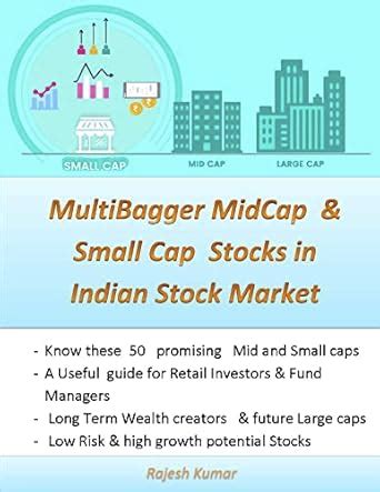 Multi Bagger MidCap & Small Cap Stocks in Indian Stock Market eBook ...