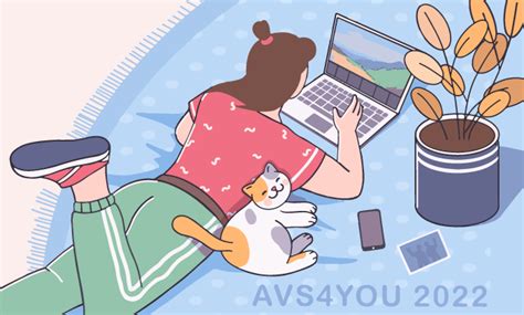 Image result for AVS Version