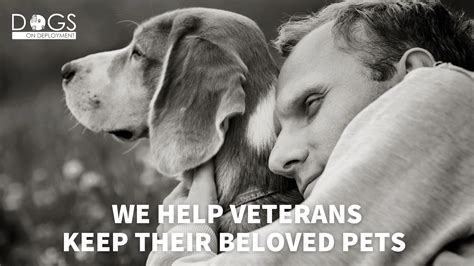 How Dogs on Deployment Supports Veterans and Their Pets