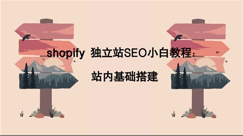 外贸shopify 独立站SEO小白教程（一）：站内基础搭建 - 知乎