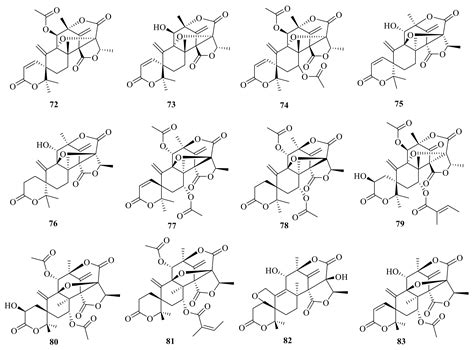 Austin-Type Meroterpenoids from Fungi Reported in the Last Five Decades ...