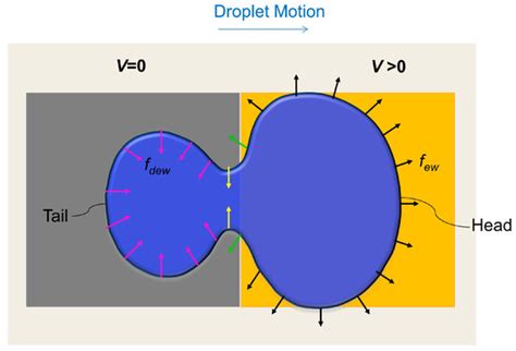 Droplet Velocity in an Electrowetting on Dielectric Digital ...