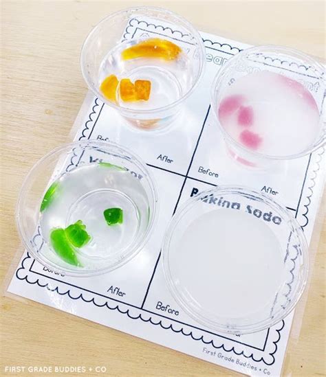 Image result for First Grade Science Experiments