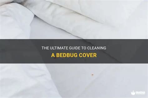 Image result for How to Clean Cuttlebug