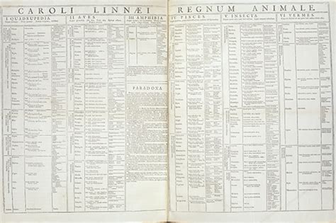 Image result for Carl Linnaeus Classification System