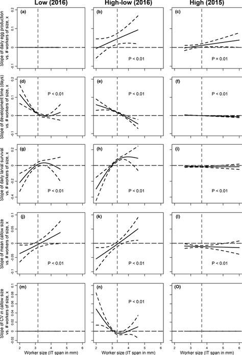 Image result for Additive Model
