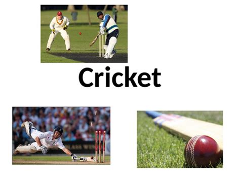 Cricket Tutorial 的图像结果