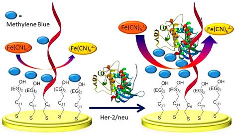 Non-Invasive Breast Cancer Diagnosis through Electrochemical Biosensing ...